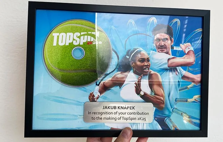 Obraz pre hru topspin