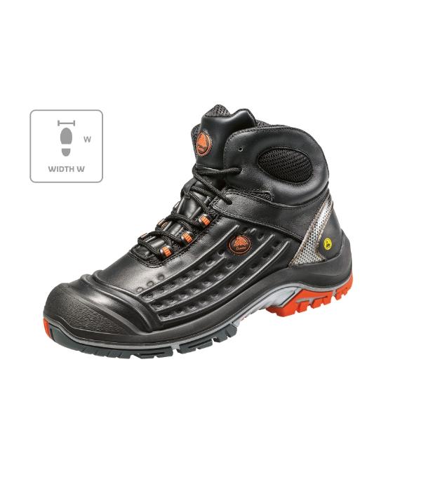 Vector W B07 1 Vector W B07